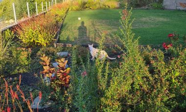 Espectacular, En La Playa Cercano A Centro Ski