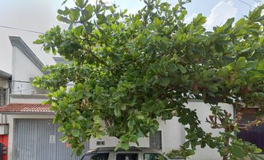 CASA EN VENTA EN LOS NARANJOS CERCA DE CENTRAL DE AUTOBUSES TAPACHULA