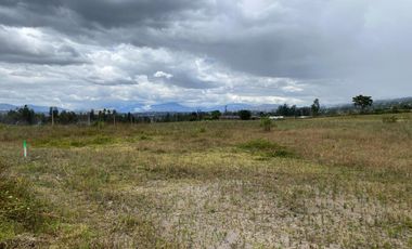Lotes de terreno en excelente ubicación, cerca del centro de Cotacachi