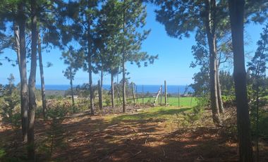 Terreno en Pichilemu