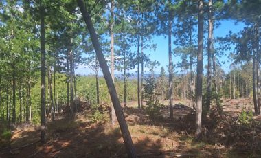 Terreno en Pichilemu