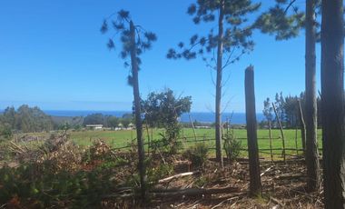 Terreno en Pichilemu