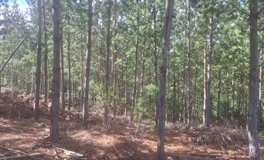 Terreno en Pichilemu