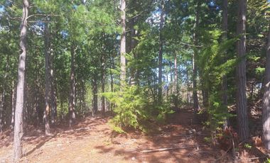 Terreno en Pichilemu