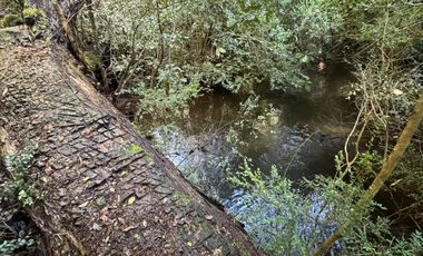 Vende Casa Nueva en Parcela con Estero Todo Asfaltado.