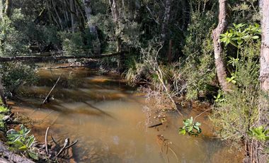 Vende Casa Nueva en Parcela con Estero Todo Asfaltado.