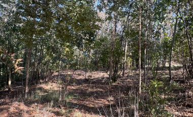 Vende Casa Nueva en Parcela con Estero Todo Asfaltado.