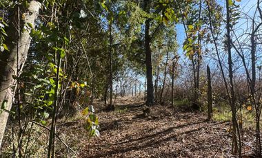 Vende Casa Nueva en Parcela con Estero Todo Asfaltado.
