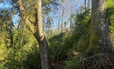 Vende Casa Nueva en Parcela con Estero Todo Asfaltado.