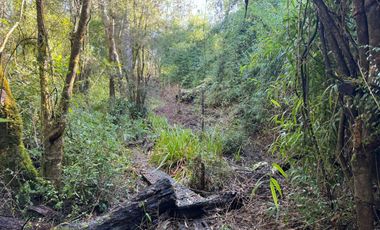 Vende Casa Nueva en Parcela con Estero Todo Asfaltado.