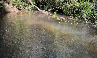 Vende Casa Nueva en Parcela con Estero Todo Asfaltado.