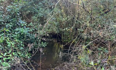 Vende Casa Nueva en Parcela con Estero Todo Asfaltado.