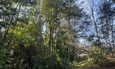 Vende Casa Nueva en Parcela con Estero Todo Asfaltado.