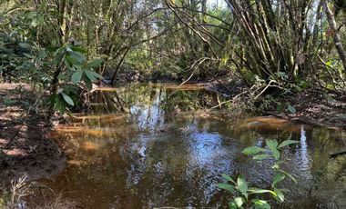 Vende Casa Nueva en Parcela con Estero Todo Asfaltado.