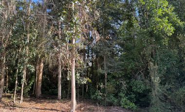 Vende Casa Nueva en Parcela con Estero Todo Asfaltado.