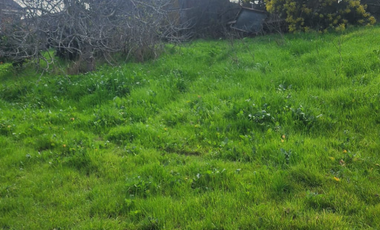 Vendo terreno de 600m2 con obra gruesa en Quilpué