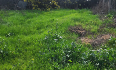 Vendo terreno de 600m2 con obra gruesa en Quilpué