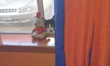 Oportunidad en Pachacamita Casa Amoblada con Patio Techado 2 estacionamientos