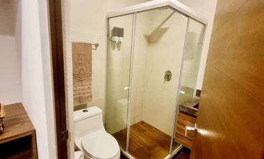 Departamento amueblado en Félix Ireta