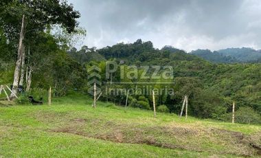 Excelente Oportunidad de Inversión: Finca / Lote en la Vereda Santa Teresa, Ibagué