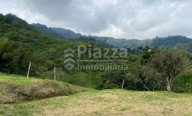Excelente Oportunidad de Inversión: Finca / Lote en la Vereda Santa Teresa, Ibagué