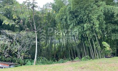Excelente Oportunidad de Inversión: Finca / Lote en la Vereda Santa Teresa, Ibagué