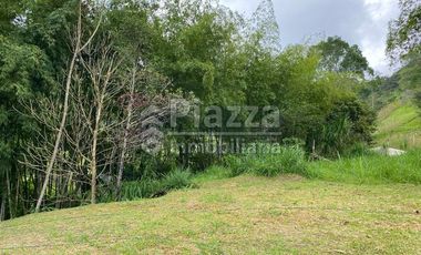 Excelente Oportunidad de Inversión: Finca / Lote en la Vereda Santa Teresa, Ibagué