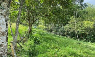 Excelente Oportunidad de Inversión: Finca / Lote en la Vereda Santa Teresa, Ibagué