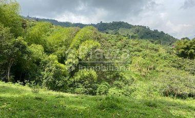 Excelente Oportunidad de Inversión: Finca / Lote en la Vereda Santa Teresa, Ibagué
