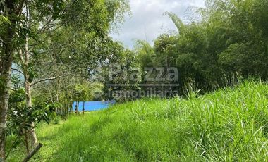 Excelente Oportunidad de Inversión: Finca / Lote en la Vereda Santa Teresa, Ibagué