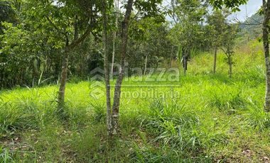 Excelente Oportunidad de Inversión: Finca / Lote en la Vereda Santa Teresa, Ibagué