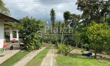 Excelente Oportunidad de Inversión: Finca / Lote en la Vereda Santa Teresa, Ibagué