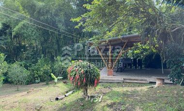Excelente Oportunidad de Inversión: Finca / Lote en la Vereda Santa Teresa, Ibagué