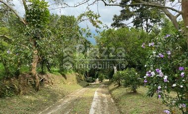 Excelente Oportunidad de Inversión: Finca / Lote en la Vereda Santa Teresa, Ibagué