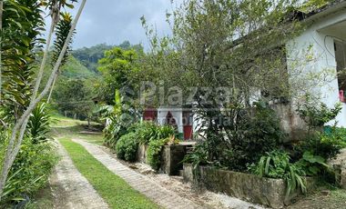 Excelente Oportunidad de Inversión: Finca / Lote en la Vereda Santa Teresa, Ibagué