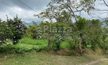 Excelente Oportunidad de Inversión: Finca / Lote en la Vereda Santa Teresa, Ibagué