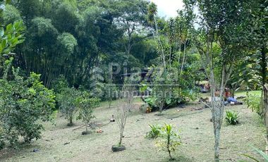 Excelente Oportunidad de Inversión: Finca / Lote en la Vereda Santa Teresa, Ibagué