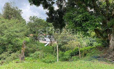 Excelente Oportunidad de Inversión: Finca / Lote en la Vereda Santa Teresa, Ibagué