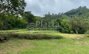 Excelente Oportunidad de Inversión: Finca / Lote en la Vereda Santa Teresa, Ibagué