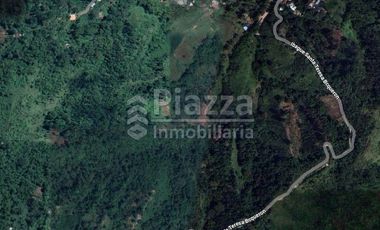 Excelente Oportunidad de Inversión: Finca / Lote en la Vereda Santa Teresa, Ibagué