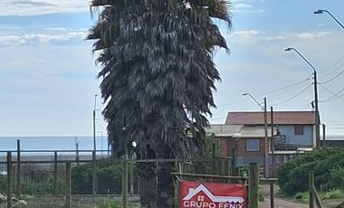 SITIO SECTOR CALETA BLANCA PELLUHUE