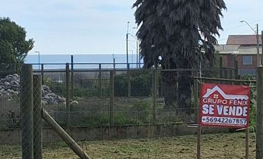 SITIO SECTOR CALETA BLANCA PELLUHUE