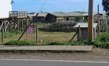 SITIO SECTOR CALETA BLANCA PELLUHUE