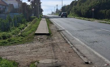 SITIO SECTOR CALETA BLANCA PELLUHUE