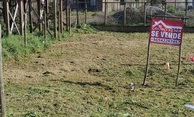 SITIO SECTOR CALETA BLANCA PELLUHUE