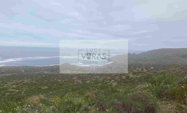 Venta de Terreno Arrayan Costero, La serena, a orillas de la Playa, excelente oportunidad!