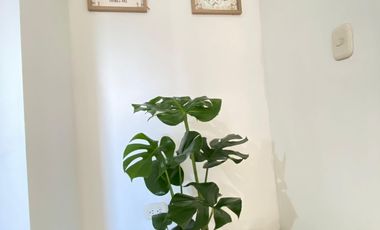 Arriendo Apto Amoblado central y seguro en Bosque Laego