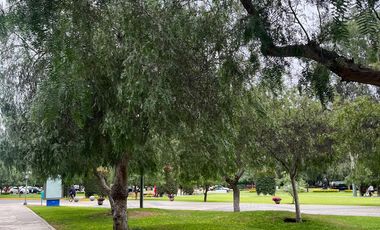 VENDO LINDO DEPARTAMENTO EN SAN BORJA - FRENTE A PARQUE