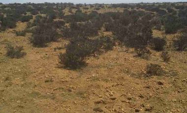 VENTA 3 PARCELAS DE AGRADO EN COSTA DORADA IV REGION