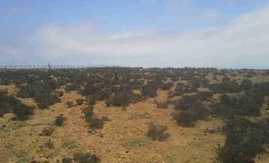 VENTA 3 PARCELAS DE AGRADO EN COSTA DORADA IV REGION